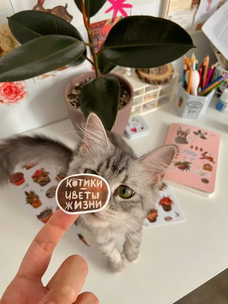 Стикер Студия 17